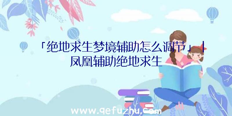 「绝地求生梦境辅助怎么调节」|凤凰辅助绝地求生